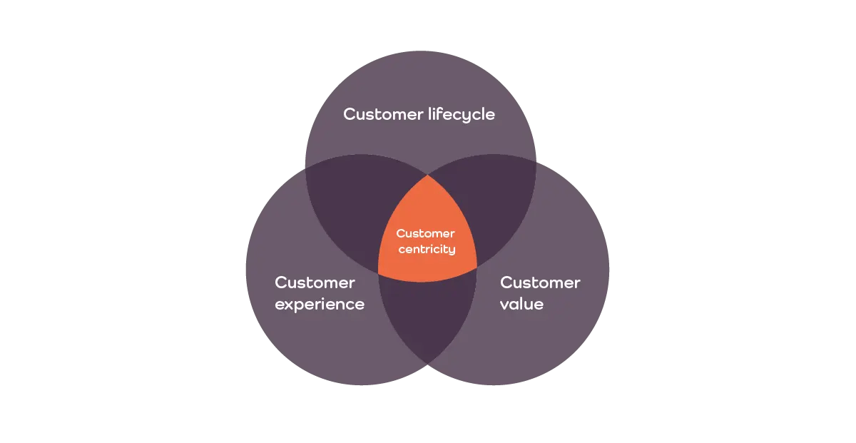 Customer-Centric-infographic